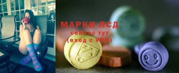 молекула духа Козельск