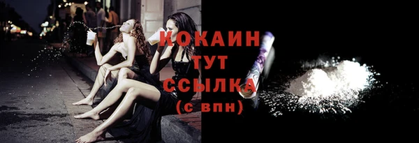 эйфоретик Щигры