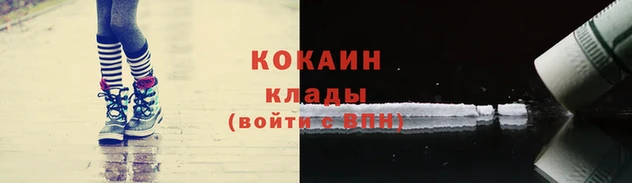 PSILOCYBIN Кодинск