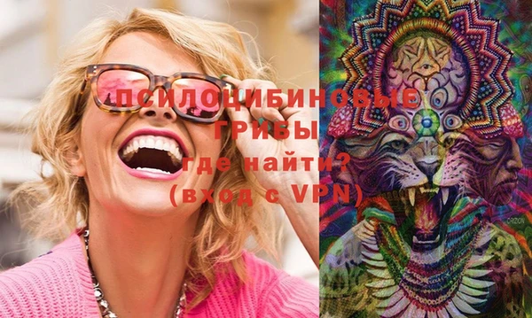 винт Наволоки