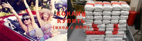 молекула духа Козельск