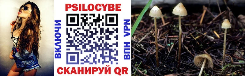 мориарти какой сайт  ссылка на мегу зеркало  Псилоцибиновые грибы MAGIC MUSHROOMS  Кириши  где купить  