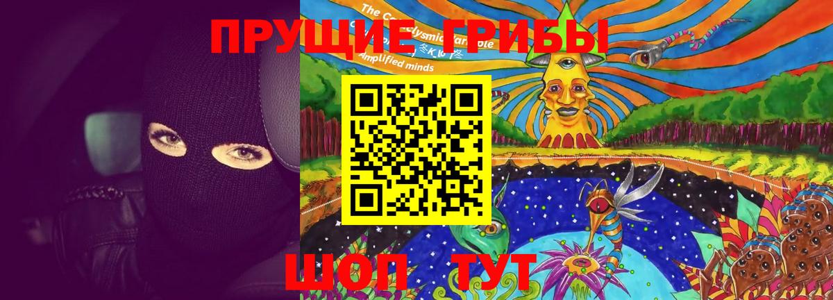 НБОМе Кириши