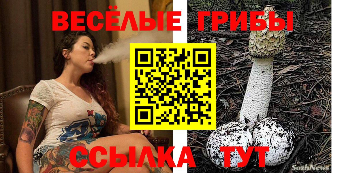 Псилоцибиновые грибы Magic Shrooms Кириши