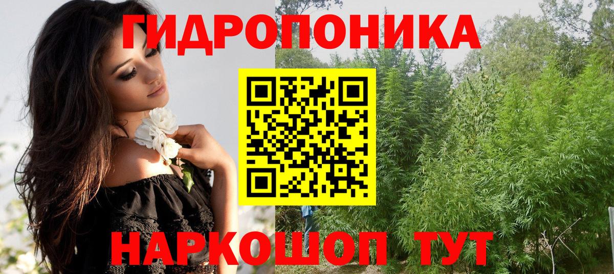 Кириши  Бошки Шишки SATIVA & INDICA  МАРИХУАНА THC 21%  Вход с VPN  Шишки марихуана THC 21% 